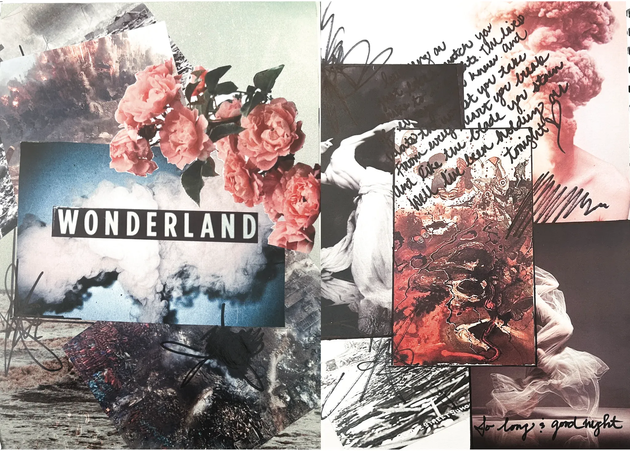 Welcome to Wonderland